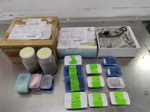 海關(guān)嚴(yán)查進(jìn)境郵政快件，搖身一變的日用品驚現(xiàn)活體甲蟲(chóng)