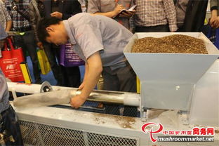 2014中國鄭州全國食用菌新產品新技術博覽會 引領食用農產品研發新風向