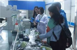 李忠副局長率隊調研供深食用農產品安全與研發工作，筑牢市民“舌尖上的防線”